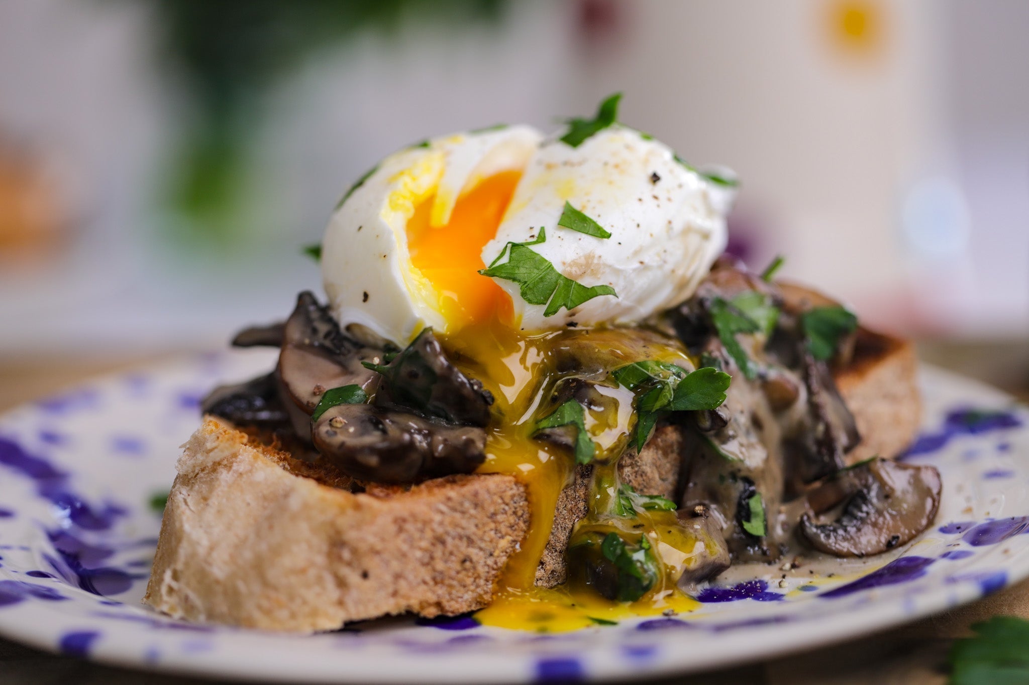 Creamy Mushrooms with Poached Eggs on Toast