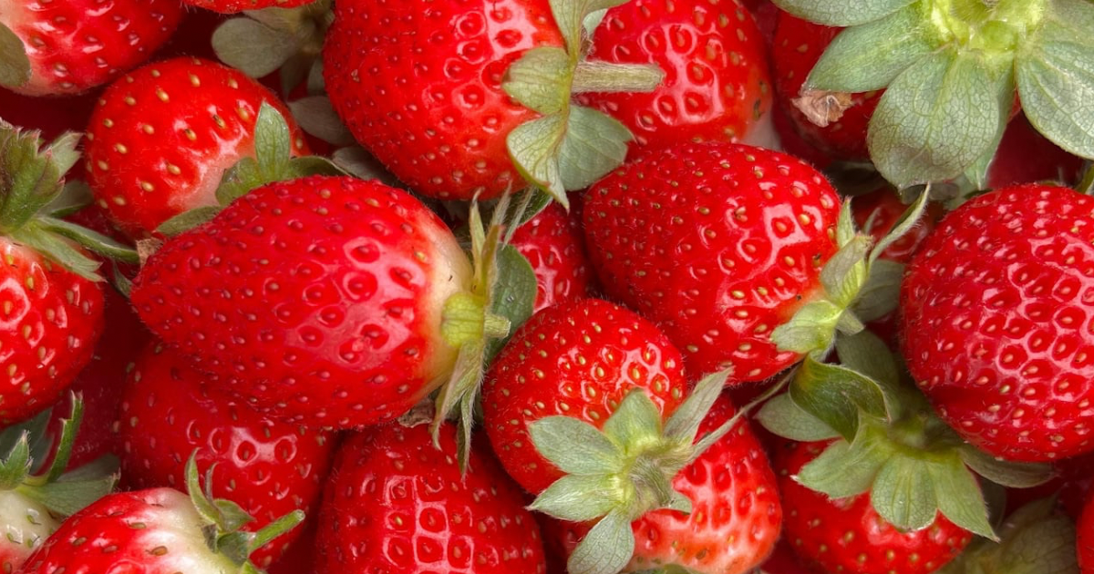 Irish Strawberries 250g class 1🍓(limited to one punnet per customer due to limited space in our delivery boxes)