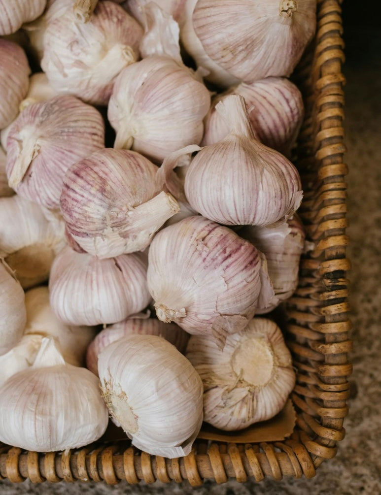Irish Garlic Bulbs (2)